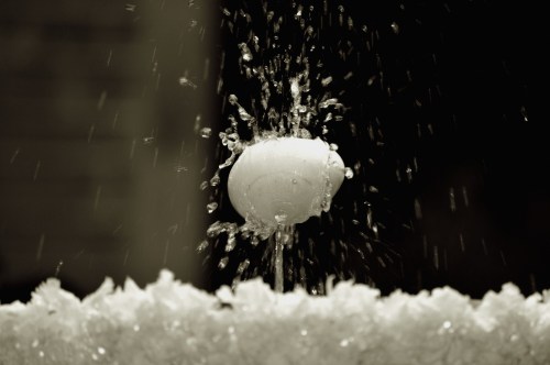 L´OU BALLA AJUNTAMENT 148A1BLACKCOPIA