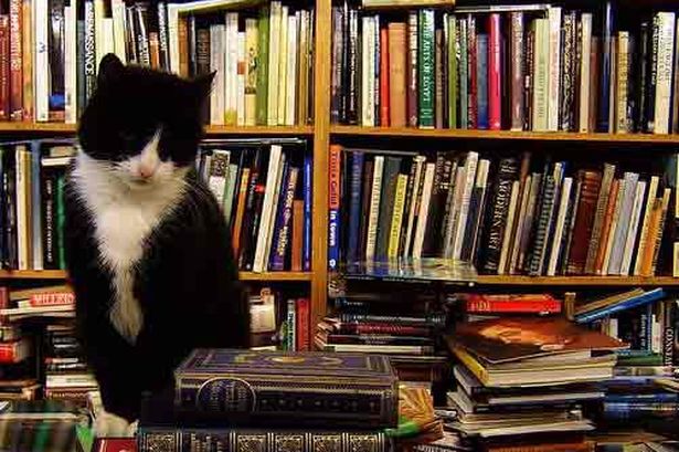 voltaire-and-rousseau